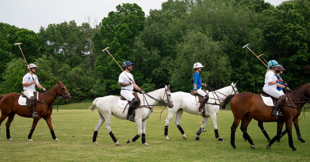 Brighton Howell Area Annual Events | Explore Brighton Howell Area