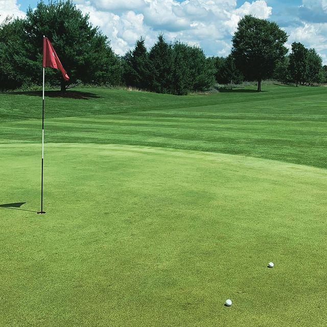 Huron Meadows Metropark golf course at the green with two golf balls
