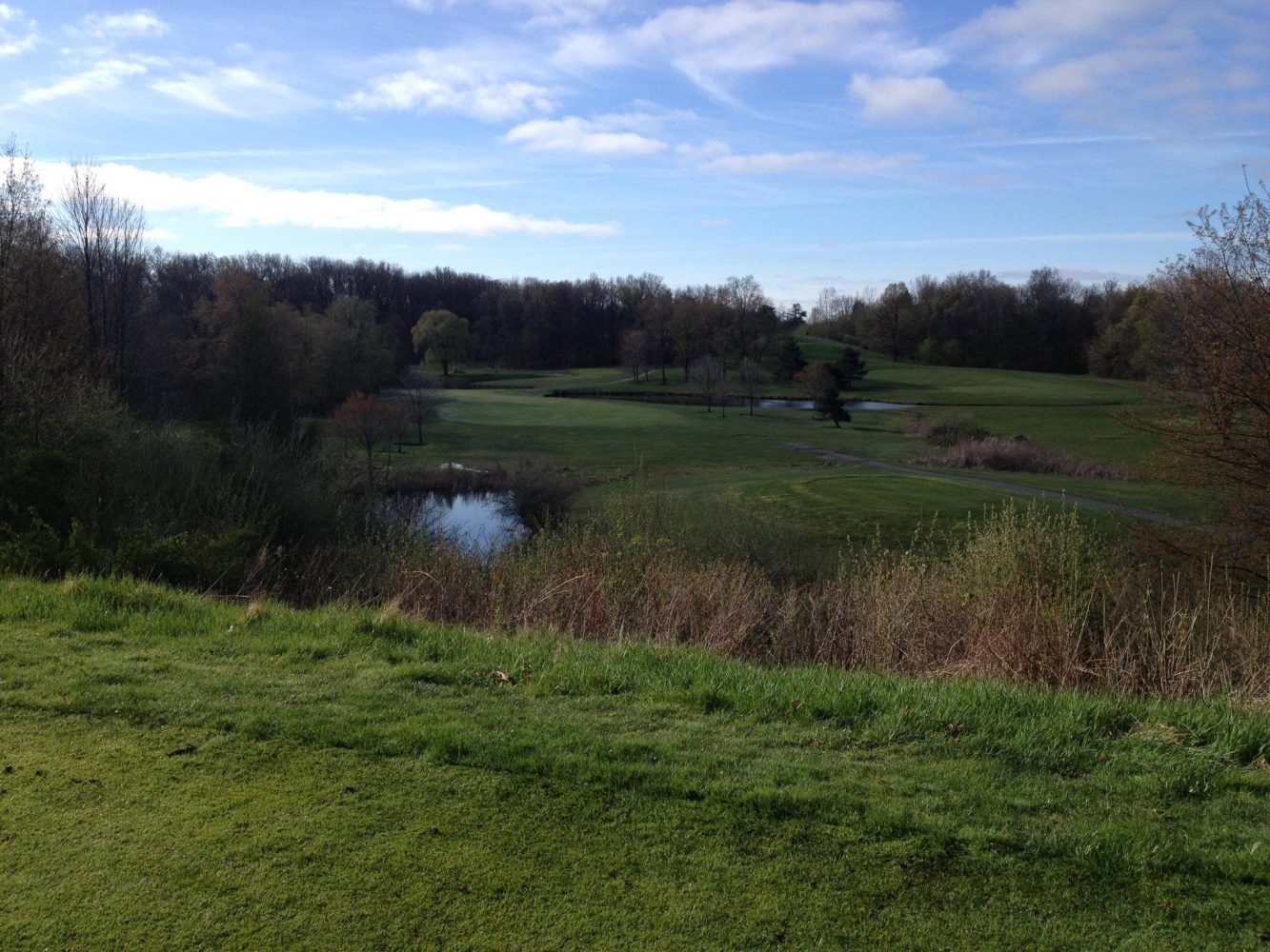 hole 12 at chemung hills golf club