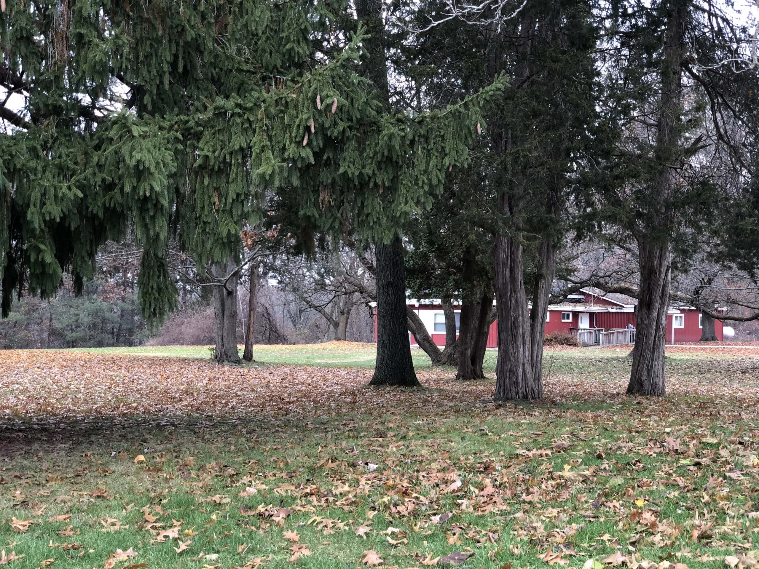 Emrich Retreat Center outdoor view during fall.