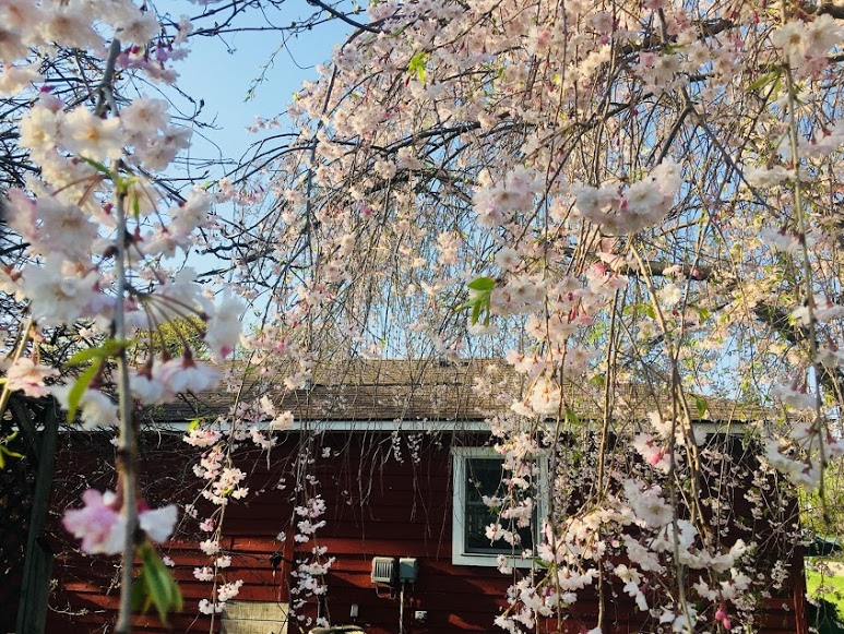 Emrich Retreat Center