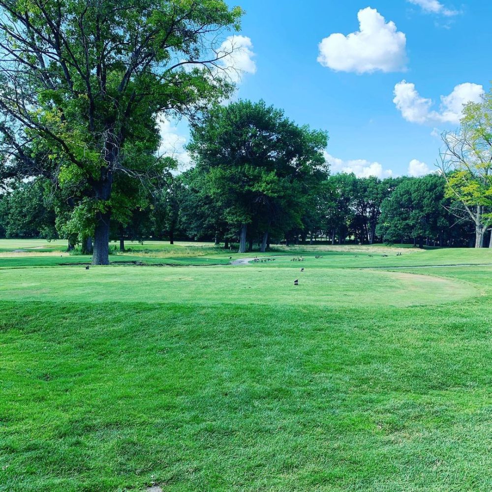 The green at Faulkwood Shores Golf Course