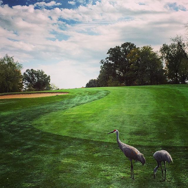 Kensington Metropark Golf Course Explore Brighton Howell Area