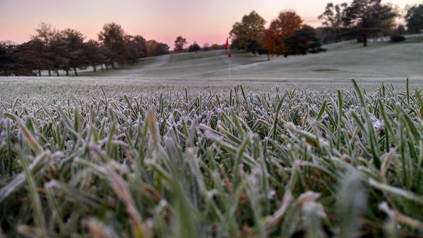Frosty grass at Rush Lake Hills Golf Club