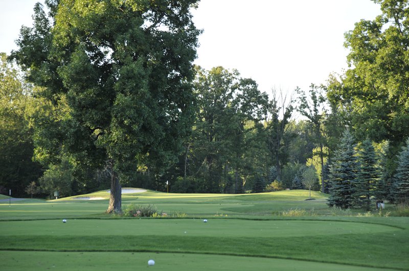 golf balls on the course of Huntmore Golf Club