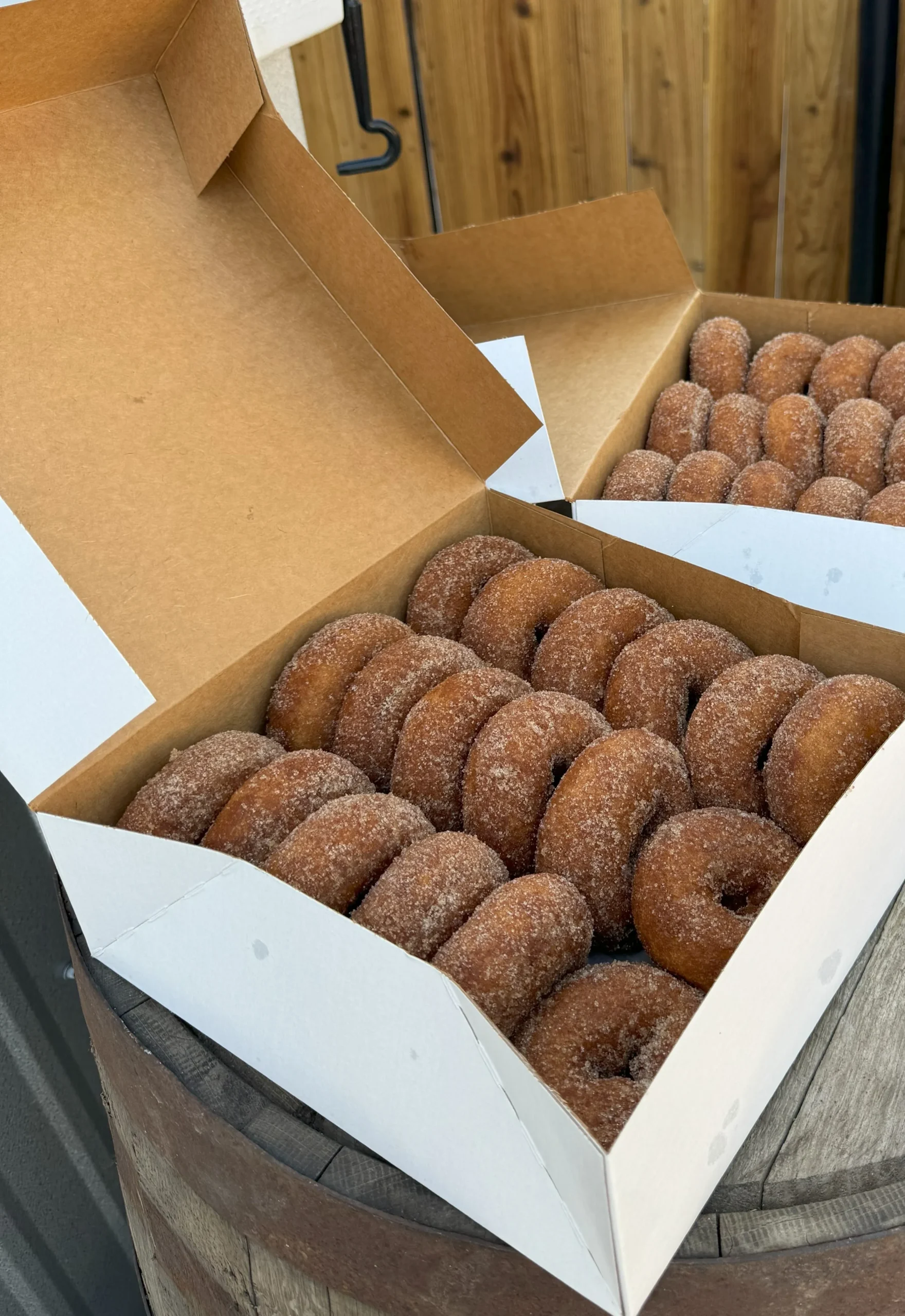 Spicer Orchards cinnamon sugar donuts in big box.