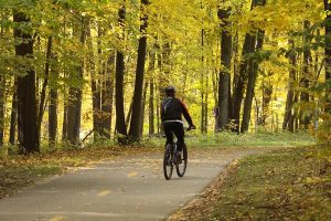 A biker riding down a fall trail
