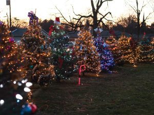 Several Christmas trees decorated at Scofield City Park in Howell