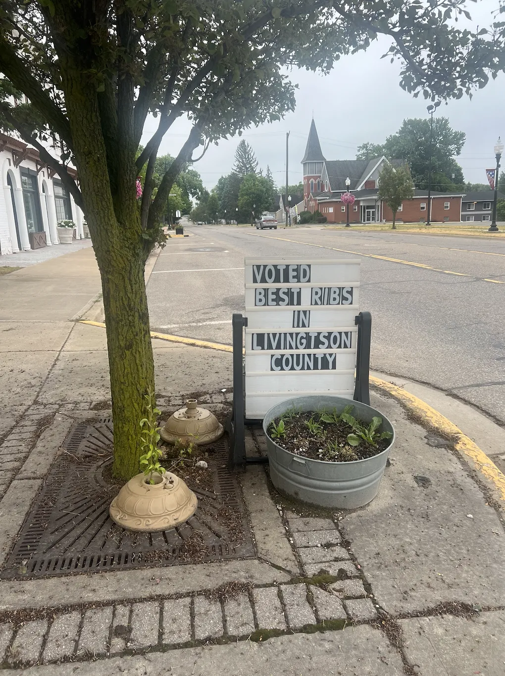 Dukes Pizza Plus voted best ribs in the Livingston County