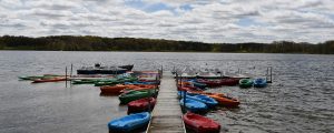 kayaks and paddleboards in Lake Walden.