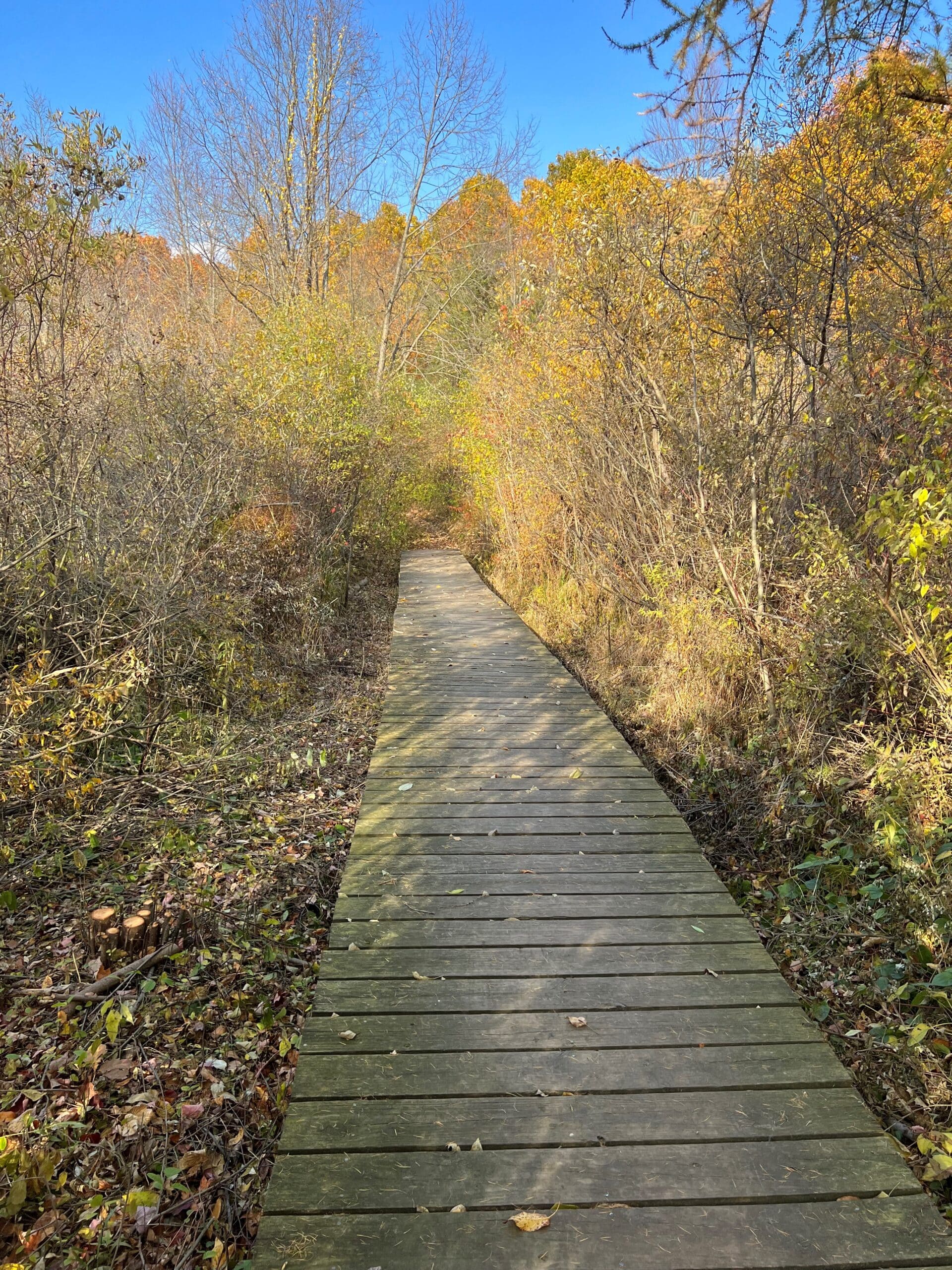 Deerfield Hills Nature Park