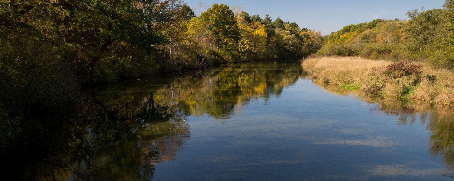 island lake bordered by forest.