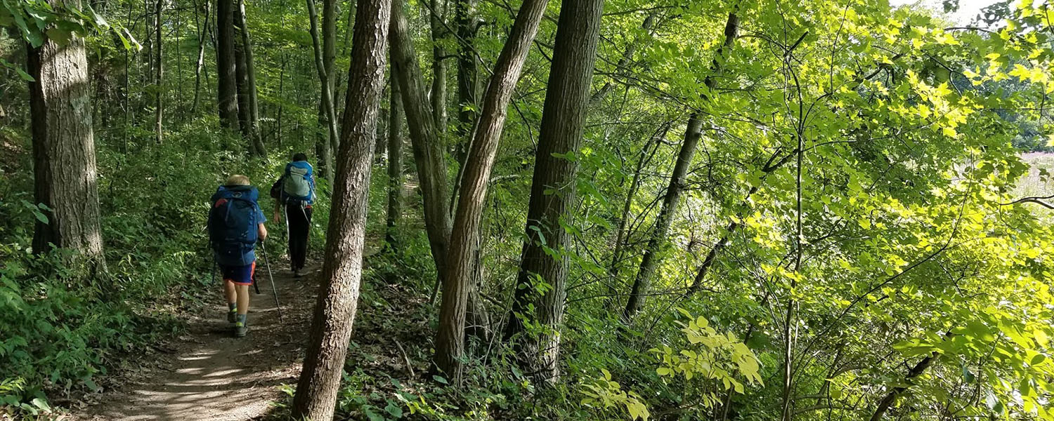 Hikers following a trail in Pinckney.