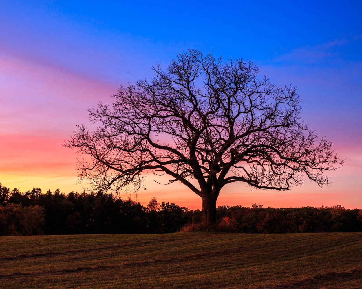 Sunset at Lutz County Park.