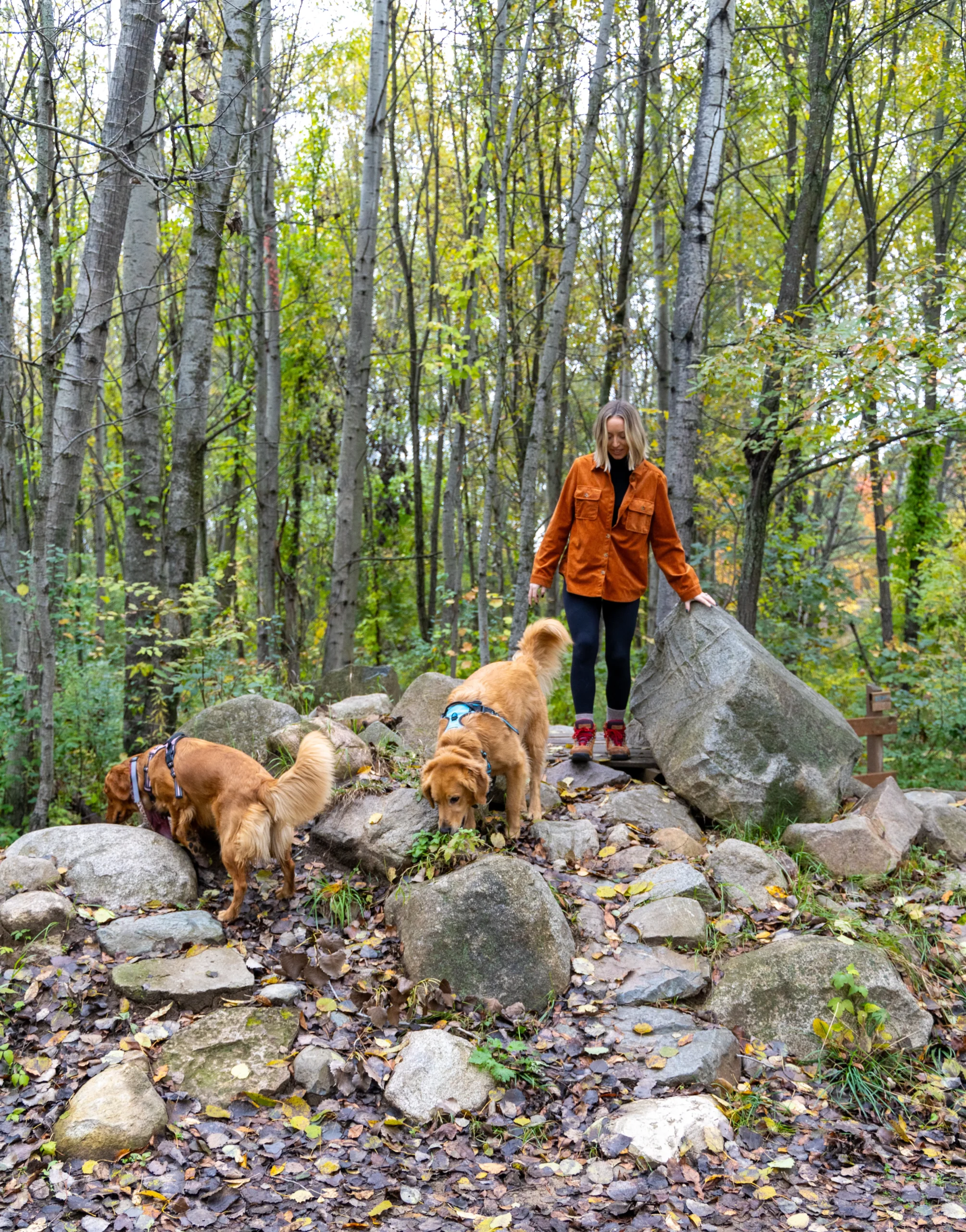 Settlers Park dogs on the trail in the woods.