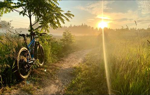 bike propped against tree on a trail at settler's park