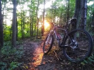 bike propped against tree on a trail at settler's park