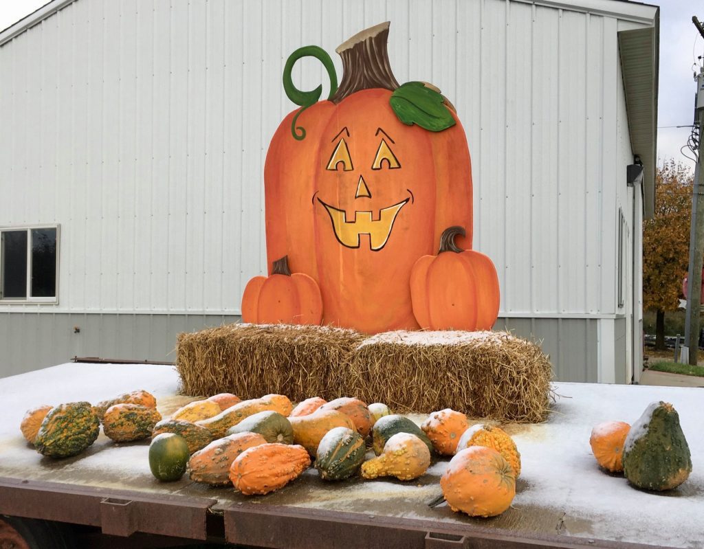 table with pumpkin and gourds.
