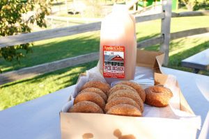 cider donuts and spicer's apple cider