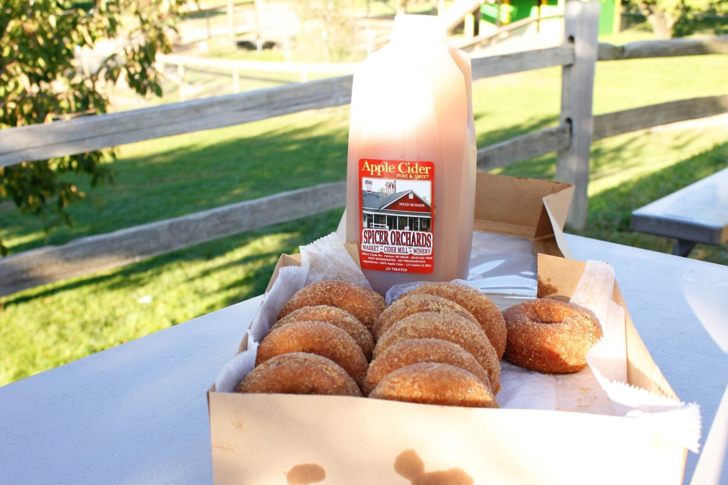 cider donuts and spicer's apple cider