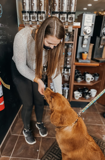 barista gives a dog a treat