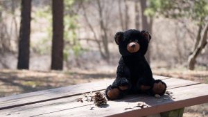 Stuffed Teddy Bear sitting on picnic table at a park