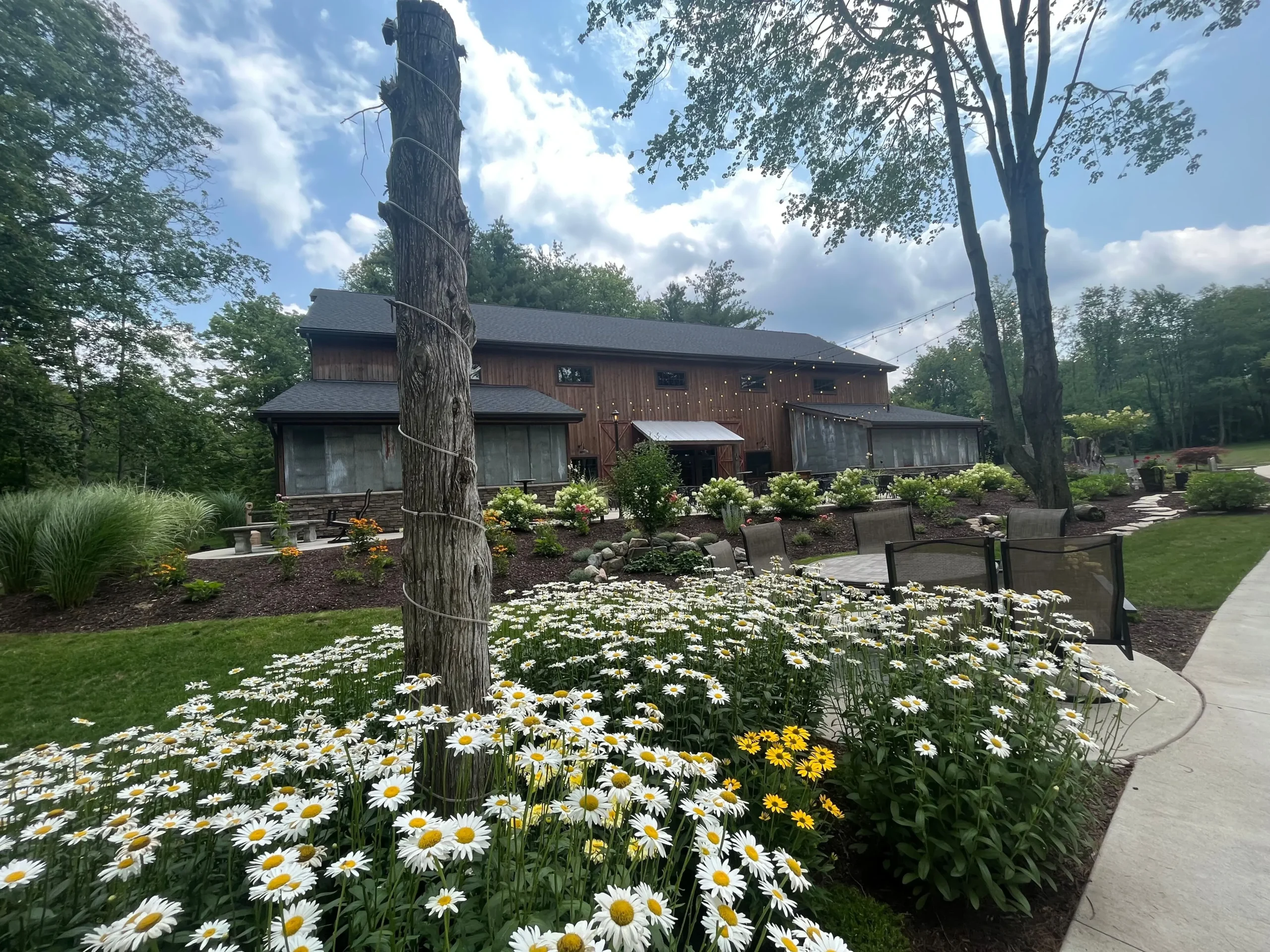 Tandale Nature Barn view from ceremony site of barn and surrounding foliage.