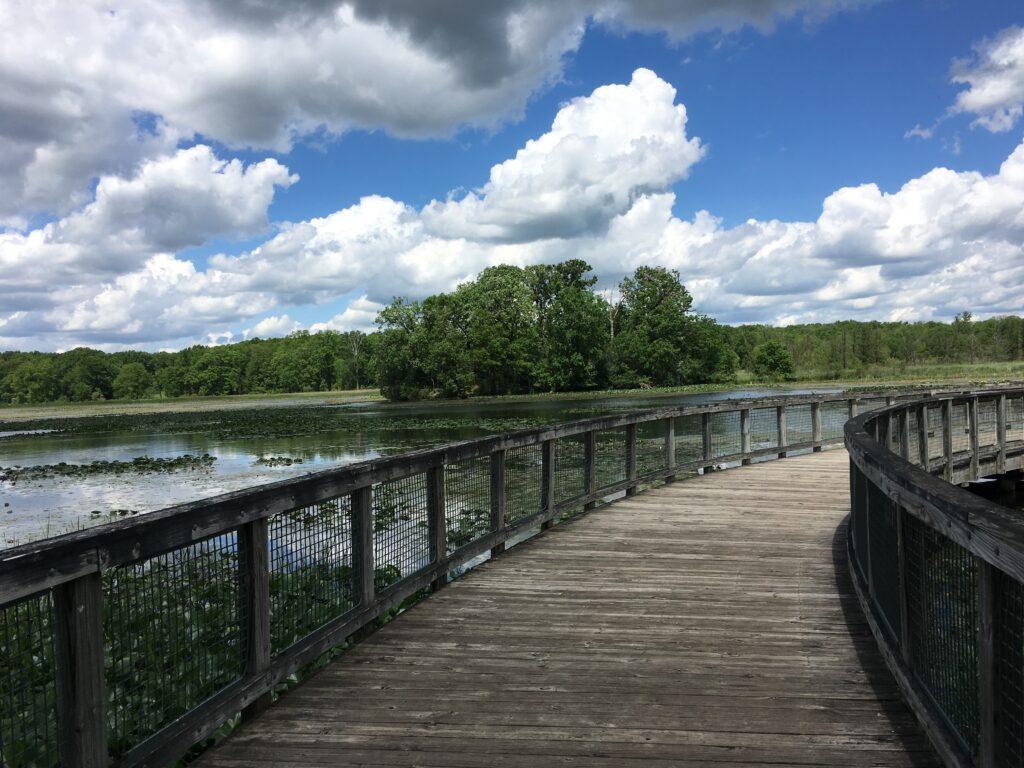 kensington metropark hiking trail on a sunny summer day