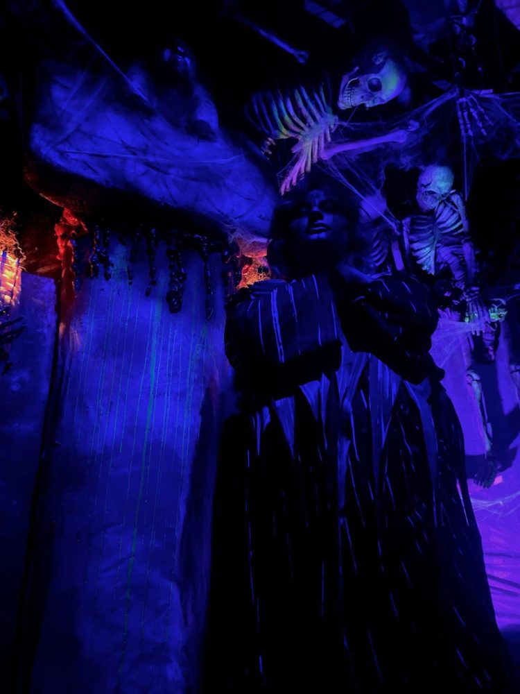 terrorfied forest haunted forest