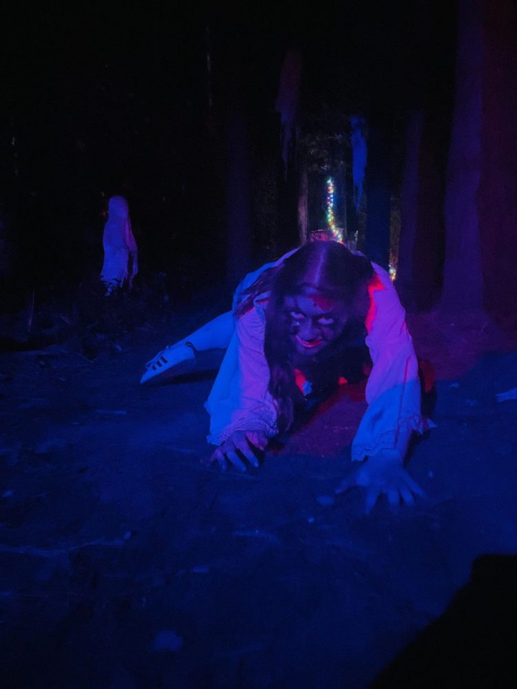 terrorfied forest haunted forest
