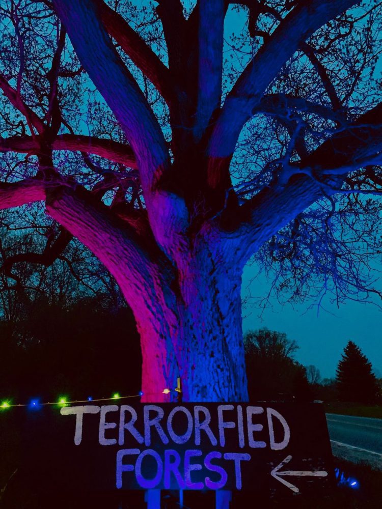 terrorfied forest haunted forest