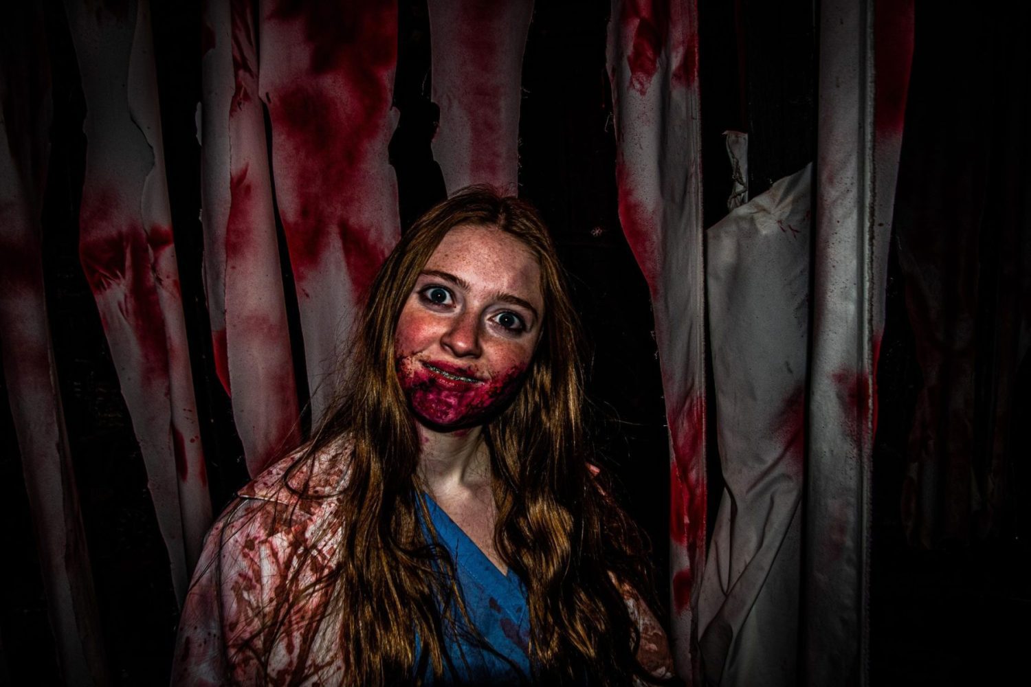 terrorfied forest haunted forest