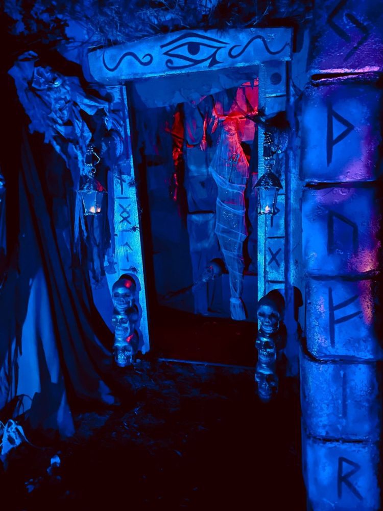 terrorfied forest haunted forest