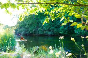 Explore Brighton Howell Area State Recreation Areas