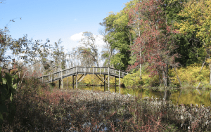 bridge connection hiking trail in Pinckney