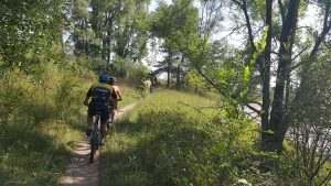 person biking on a trail