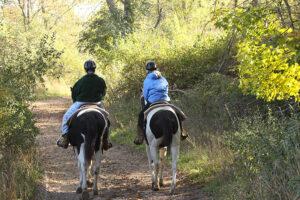 Kensington Metropark Horseback Riding trail in Brighton, Michigan