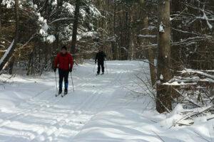 Huron Meadows winter cross country skiing in Brighton, Michigan