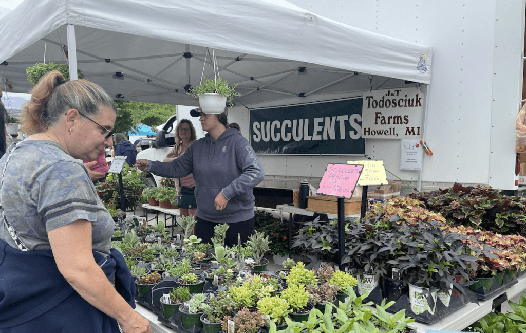 woman looking at plants at howells sunday farmers market in howell michigan