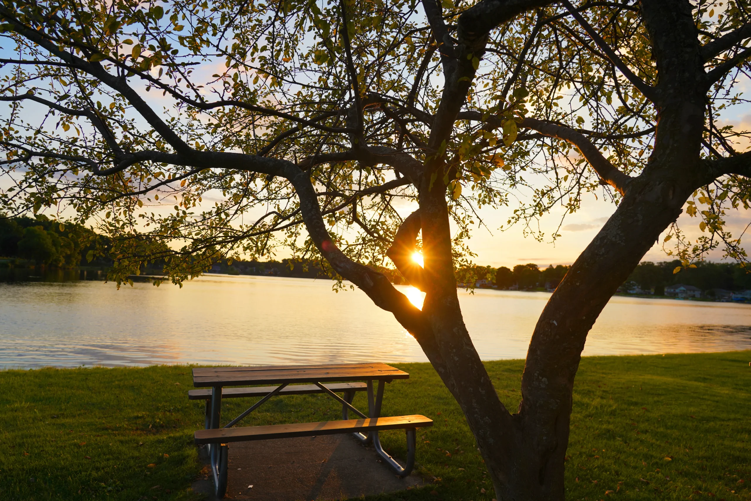 Thompson Lake picnic table and tree at sunsetq