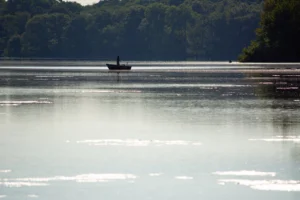Guy on a row boat fishing at Kensington Metropark Brighton, Michigan