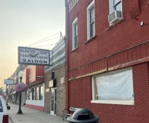 Street view of downtown Fowlerville Michigan