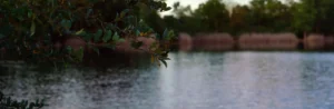 the spring mill pond beach. located in the island lake recreation area in brighton michigan.
