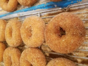 donuts from markille orchard in howell, michigan
