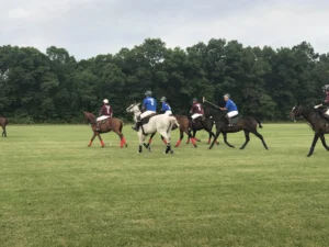 Heritage Park Hartland polo classic photo on cloudy day.