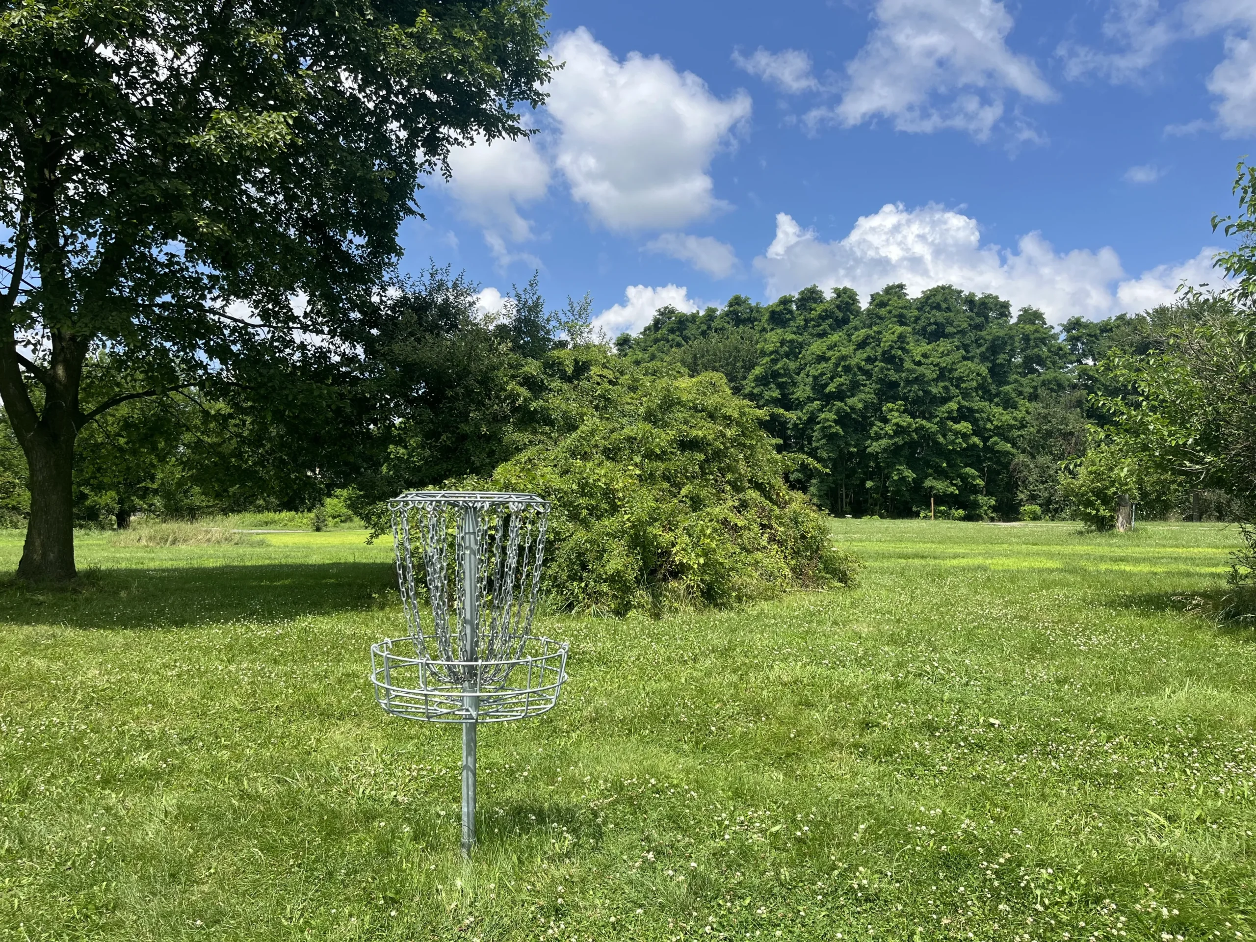Whitmore Lake Community Park Disc Golf basket on sunny day.
