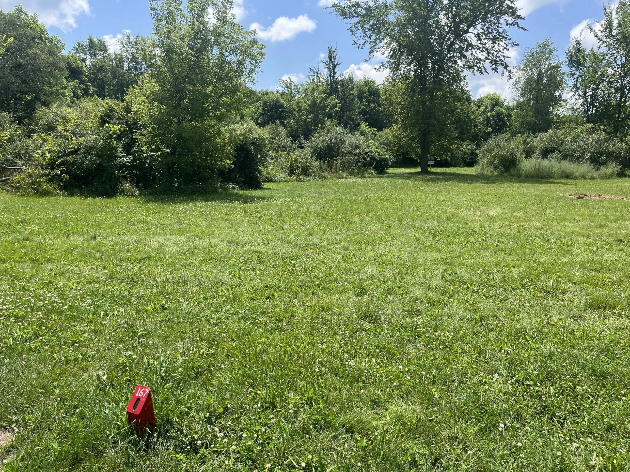 Whitmore Lake Community Park Disc Golf tee box path view.