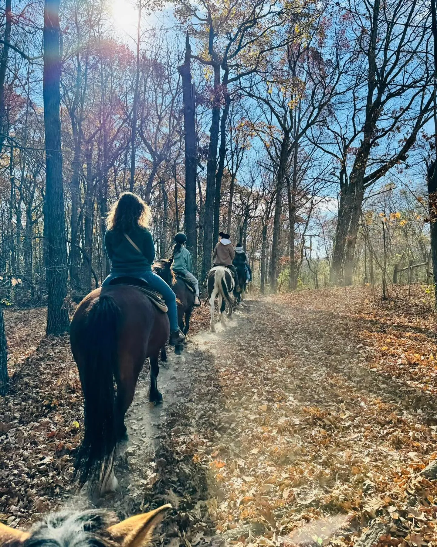 High Vibe Trail Ride trail in wintertime on horseback