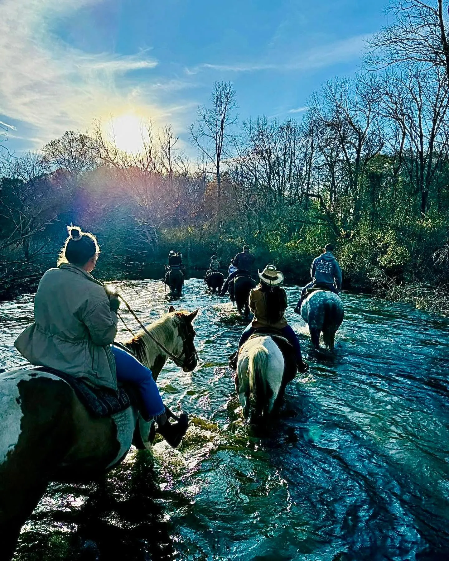 High Vibe Trail Ride horseback riding on trail.