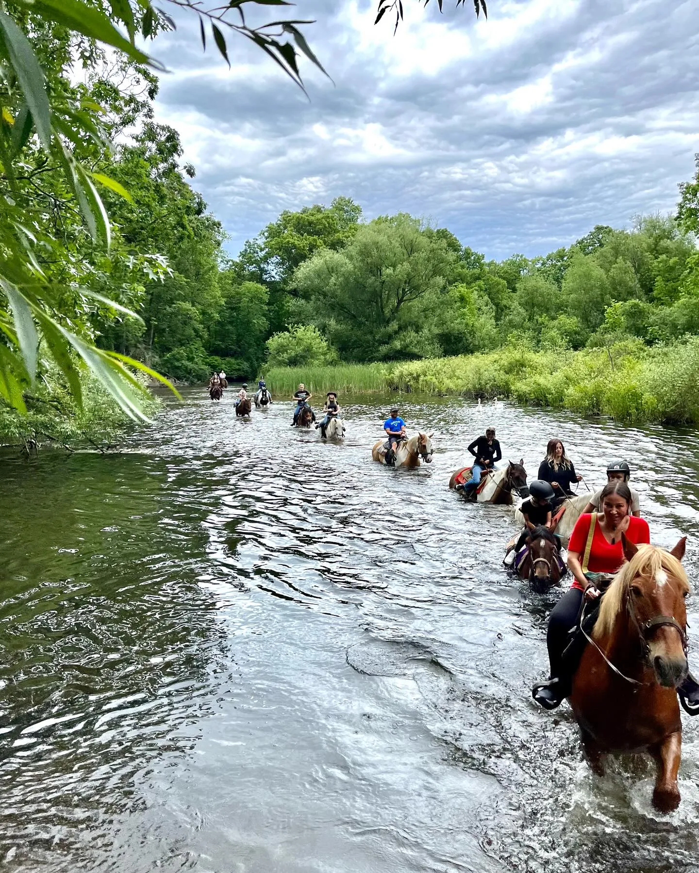 High Vibe Trail Ride trail ride on horseback through rivine.